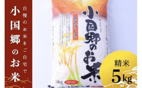 【JA阿蘇小国郷】小国郷産あきげしき（精米5kg）