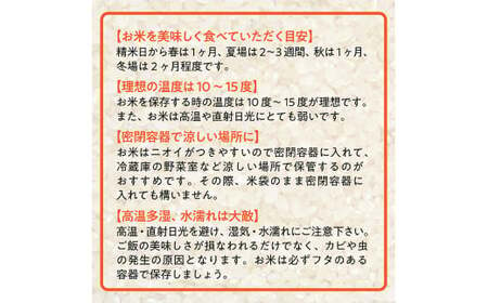 【令和6年産】 山形県産　特別栽培米つや姫10kg(5㎏×2)