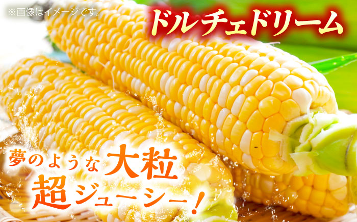 【数量限定】スイートコーン、ドルチェドリームと甘々娘の食べ比べセット【なかむら農園】 [BHCJ003]