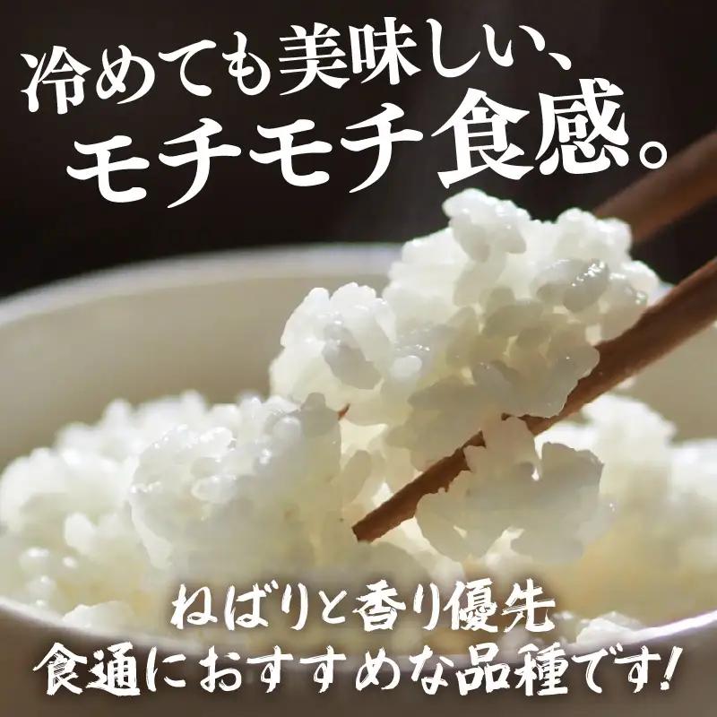 【令和7年産】化学肥料不使用 特別栽培米 ミルキープリンセス 精米 10kg × 1袋 / 白米 米 福井県あわら市産 美味しい 特別栽培米 減農薬 安心な米 旨味 甘み もっちり 冷蔵保管米 [aw