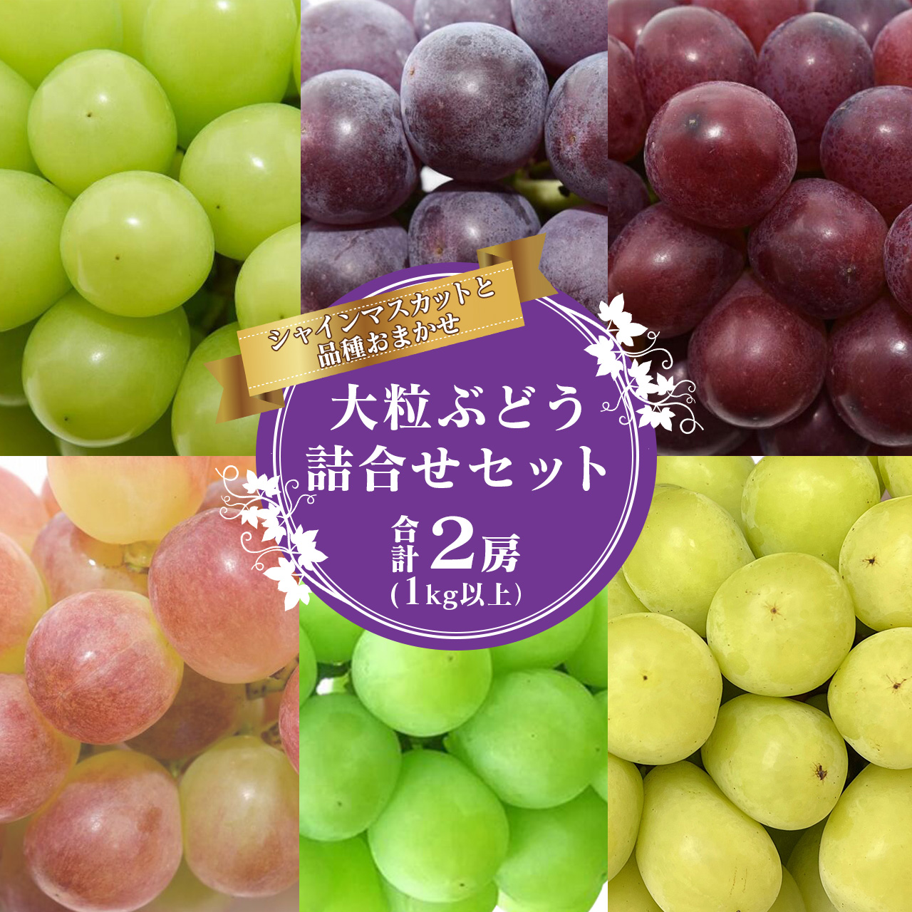 シャインマスカットと人気のぶどう 食べ比べ セット 計2房（計1kg以上）品種おまかせ 【2025年9月中旬頃から10月下旬頃発送予定】 ／ 2025年産 令和7年産 農家直送 生産者直送 山形県産 山形産 産地直送 果物 フルーツ 葡萄 東北 詰め合わせ 詰合せ　015-B-JF013