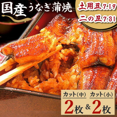 【ふるさと納税】浜名湖・うなぎのたなかのふっくら柔らか♪国産うなぎカット蒲焼(中)2枚(小)2枚※合計290g程度_ うなぎ ウナギ 鰻 かば焼き 蒲焼き 人気 美味しい 静岡県 ふるさと 国産 浜名湖 静岡 個包装 小分け 簡単調理 【配送不可地域：離島】【1417534】