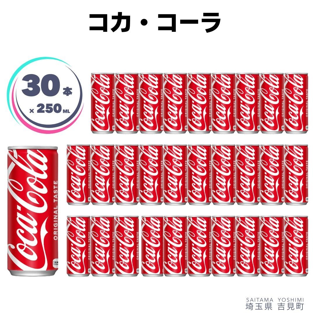 【ふるさと納税】コカ・コーラ 250ml×30本 1ケース 缶