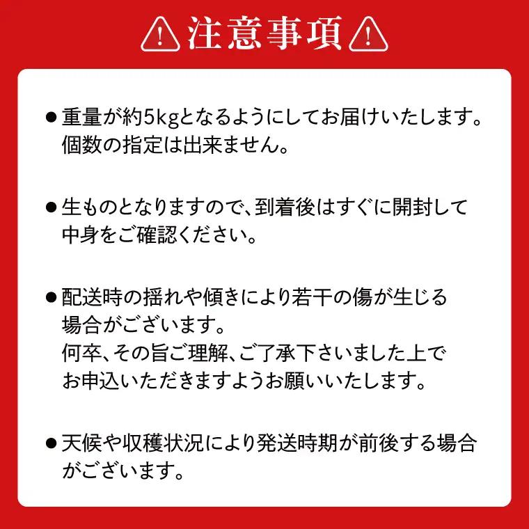 【先行予約】あい farm の梨 にっこり 5kg (4～9玉)(DQ004)