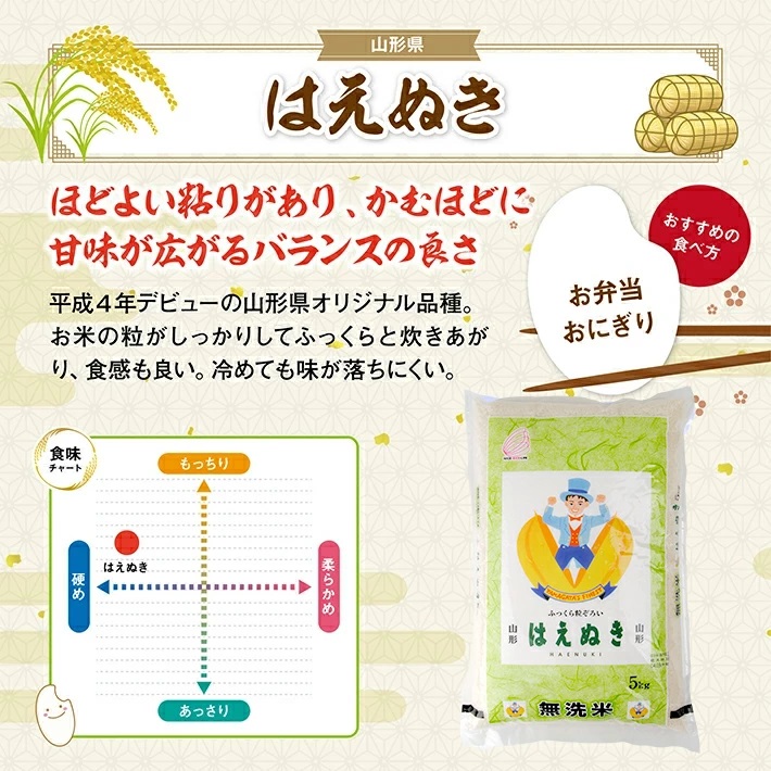 SE0445　令和7年産【無洗米】はえぬき　10kg(5kg×2袋) TO