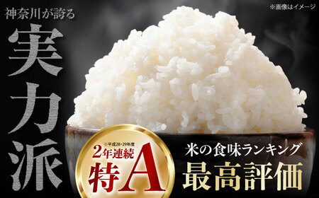 【白米】はるみ米 10kg 白米 [BDBB003]