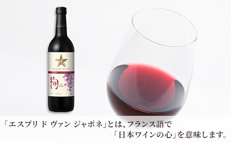 ワイン グランポレール エスプリ・ド・ヴァン・ジャポネ 絢 -AYA- 2本（1本 720ml）赤ワイン ライトボディ サッポロビール 岡山ワイナリー お酒 国産ワイン 果実香 酸味 程よい熟成感 タ