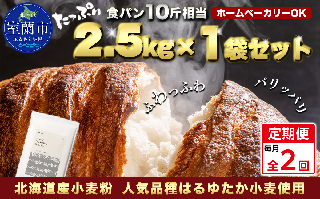 【毎月定期便】北海道産 はるゆたかブレンド小麦粉 シルバーライズ（パン用強力粉）2.5kg 全2回 MROBI025
