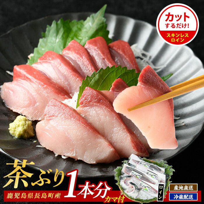 【ふるさと納税】ブリカマ付！茶ぶり スキンレスロイン1尾分・4分の1カット済)国産 鹿児島県産 ブリ 茶ぶり 鰤 海鮮 ぶりしゃぶ 海産物 フィレ 魚介 魚 真空パック 刺身 海鮮丼 産地直送 4等分 鰤かま ブリカマ【ウスイ】usui-6121