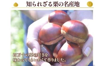 【新栗】【添加物不使用】しまんと地栗モンブラン（9個入）栗のおいしさを追求！／Qdr-209 モンブラン