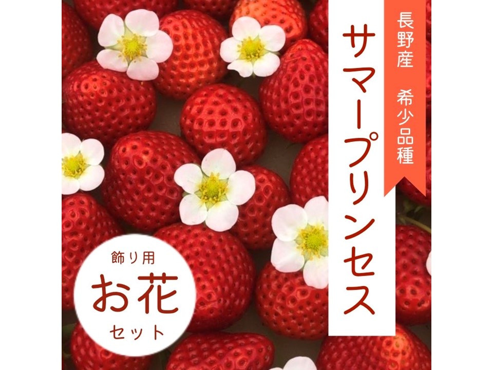 
                  【【先行予約R8年 7月10日以降順次発送】0.1%しか採れない希少品】 大空夏いちご農園「サマープリンセス（2パック）」
                