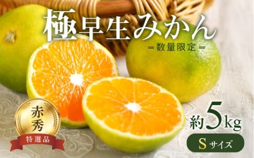 BF6036n_【数量限定】 極早生みかん 5kg 赤秀 Sサイズ【ミカン 蜜柑 柑橘 温州みかん 有田みかん 贈答 ギフト わせみかん 和歌山】