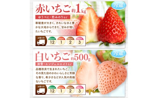 【 定期便 11回 】 贅沢！ まるごと フルーツ