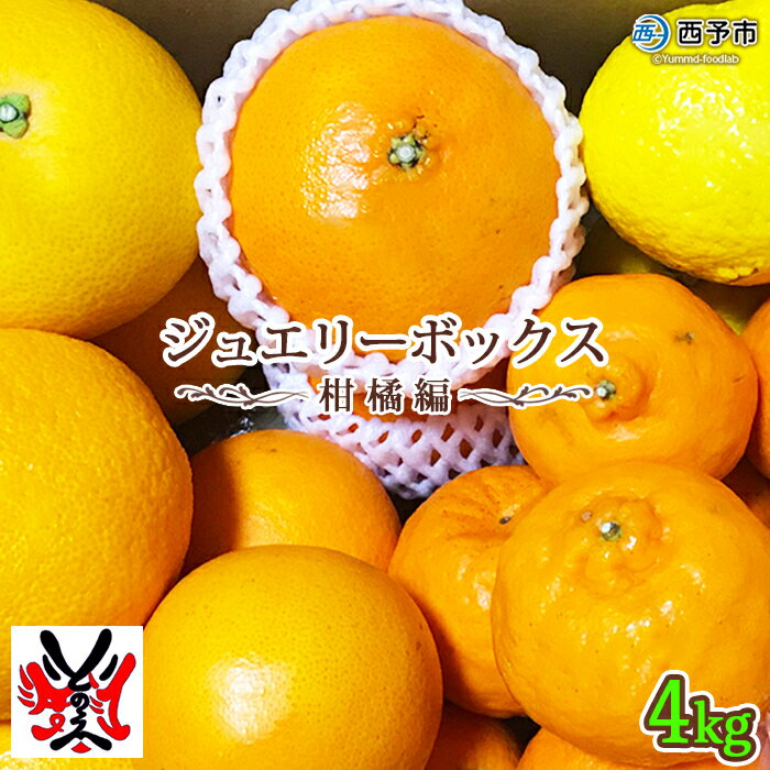 【ふるさと納税】＜愛媛県明浜産 ジュエリーボックス(柑橘編) 柑橘多品種 計約4kg＞ みかん ミカン せとか きよみ いよかん ばんかん はるか 果物 フルーツ デザート 渡江から一歩を踏み出す会 特産品 愛媛県 西予市 【常温】『ご希望の配送月をお選びください』
