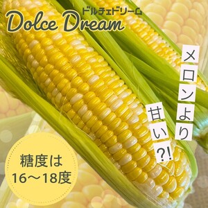 朝採れ とうもろこし 5kg スイートコーン ドルチェドリーム 甘い 早朝収穫〈アグリにのうみ〉京都 亀岡 農家直送 2024年産 先行予約 ※着日指定不可  ※北海道・沖縄・離島への配送不可 ※20