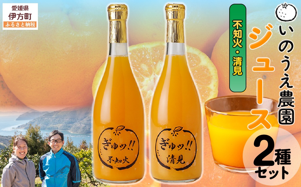 いのうえ農園 ジュース2種セット（不知火/清見）※離島への配送不可 IKTAI022