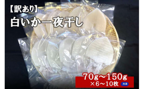 【訳アリ】白いか一夜干し　（７０ｇ～１５０ｇｘ6～１０枚） 訳アリ 小分け いか 白いか 無添加 個包装 一夜干し 産地直送【1961】