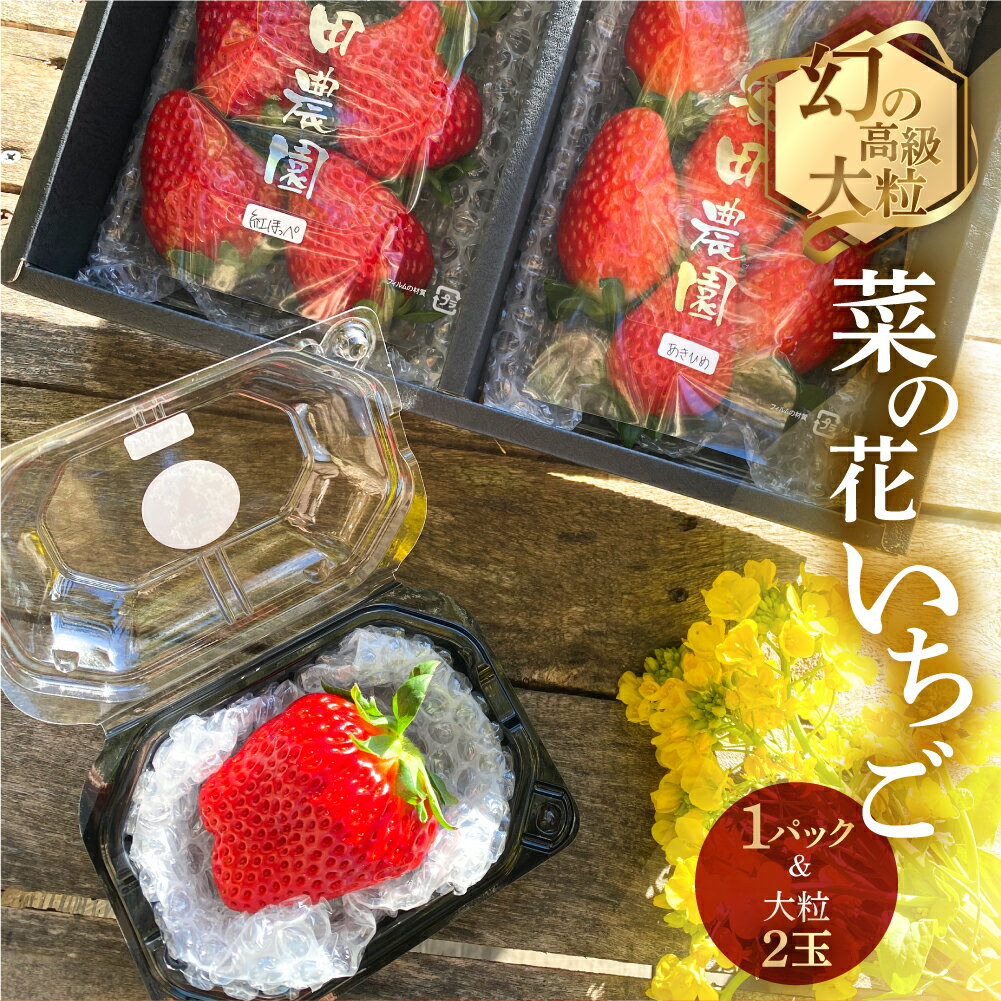 【ふるさと納税】先行予約 菜の花いちご 1パック(6〜8粒入) 大粒2玉 イチゴ いちご 苺 果物 くだもの フルーツ 贅沢品 贈答品 高級品 先行予約 お取り寄せ 田原市 産地直送 送料無料 安田農園 事前予約 品種お任せ 激甘 あきひめ 紅ほっぺ さがほのか