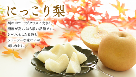 【 JA 北つくば 】 筑西ブランド 認証品 梨 3種 定期便 セット 15kg ( 幸水 豊水 にっこり ) 果物 フルーツ なし ナシ 和梨 [AE031ci]