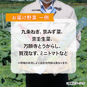 【 定期便 】 京野菜 野菜 6種 程度 定期便 6回 ( 野菜 詰め合わせ 野菜 京都 野菜セット 季節 旬 栄養食 栄養野菜 九条ネギ 野菜 万願寺 野菜 賀茂なす 野菜 京都府産 野菜 数量限定