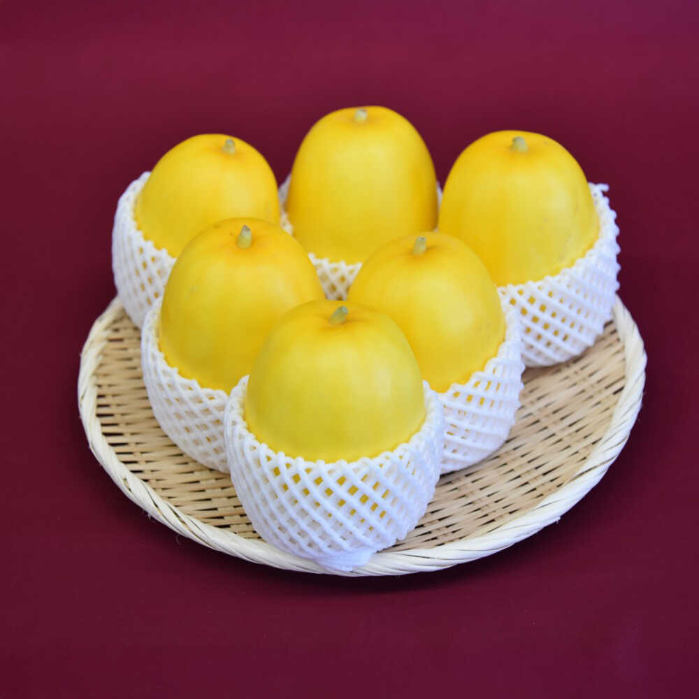 【ふるさと納税】【2026年7月下旬より順次発送】旬の野菜 金のまっか便（栽培期間中、農薬・化学肥料・動物性堆肥不使用）/ まくわうり セット 詰め合わせ 新鮮 野菜 旬 / 滋賀県 栗東市 / ワダケン リアルソイルハウス[BIBM005]