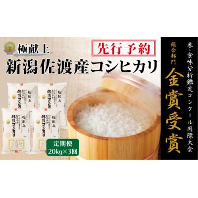 ふるさと納税 佐渡市 【発送月固定定期便】【令和8年産】10月〜発送 食味鑑定コンク-ル金賞　佐渡産コシヒカリ20k全3回