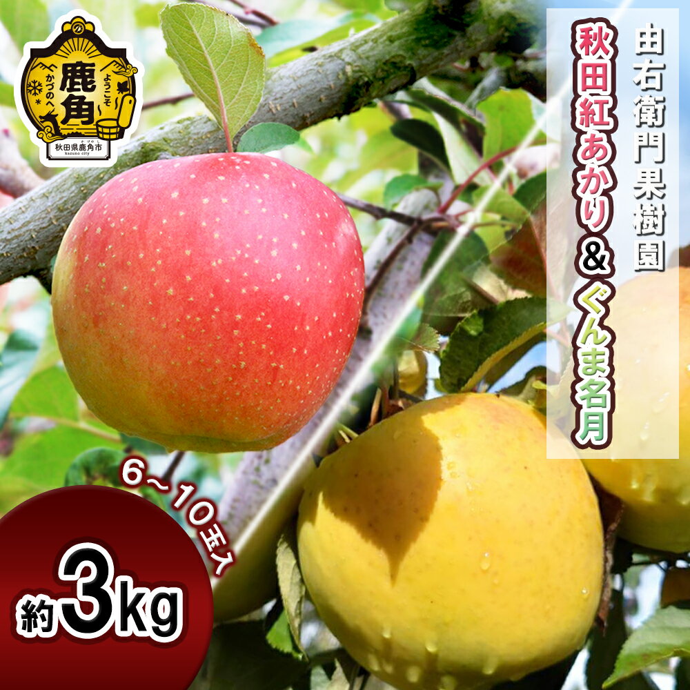 【ふるさと納税】《 先行予約 》由右衛門果樹園 りんご 「 秋田紅あかり & ぐんま名月 」 約3kg ( 6～10玉 ) 秋田県産 旬 食感 果汁 リンゴ 詰め合わせ 食べ比べ セット 贈り物 グルメ ギフト 秋田 あきた 鹿角市 鹿角 送料無料 【由右衛門果樹園】●2025年11月上旬発送開始