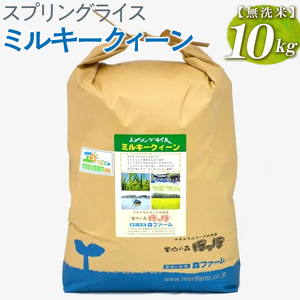 【新米】スプリングライス ミルキークィーン (無洗米)10kg ※着日指定不可 _BI37