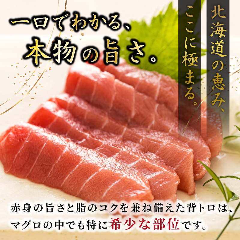 【9月配送】北海道産 天然 本マグロ 背トロ 冷凍 200g × 3柵 計600g（訳あり 筋あり） 国産 鮪 ホンマグロ クロマグロ 魚介類 海鮮 絶品 高級 発送月が選べる 釧路町 釧路超 特産品