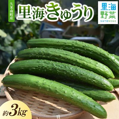 ふるさと納税 久米南町 久米南町産　里海きゅうり 約3kg
