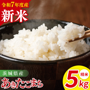 【先行予約】令和7年産 茨城県産あきたこまち　精米　5kg【お米 米 ごはん 茨城県】（85-29）