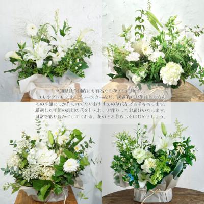 ふるさと納税 芸西村 【毎月定期便】芸西村産季節の生花アレンジメント　供花仏花L【t175tmf】全3回 |  | 02