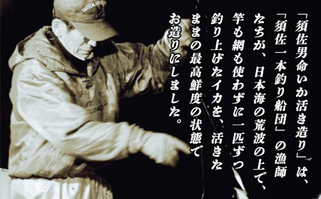 自宅で透明感を再現！須佐男命いかの姿造り（刺身）特殊冷却「3D冷凍」パック 2個セット｜HG000428