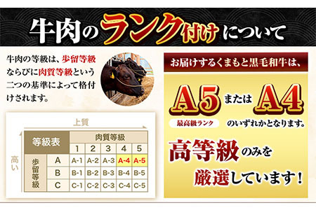 くまもと 黒毛和牛 ローストビーフ用 赤身ブロック 500g 黒毛和牛