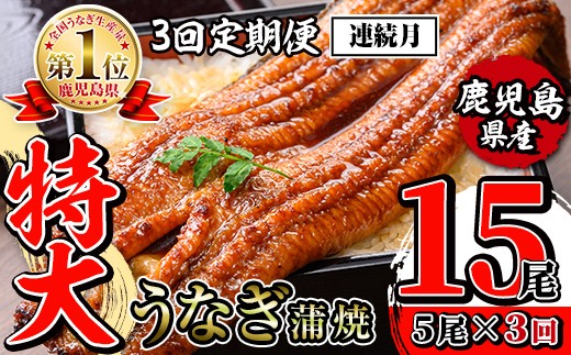 i1176-A ＜定期便・計3回(連続月)＞＼特大サイズ／鹿児島県産 うなぎ蒲焼 5尾セット ＜（約220g×5・計約1100g）×全3回＞ 定期便 たれ 山椒付きうなぎ 鰻 ウナギ 特大 特大サイズ 約220g 蒲焼き 国産 鹿児島県産 焼きたて 生産量日本一 真空パック おかず 晩御飯 特別な日  【薩摩川内鰻】