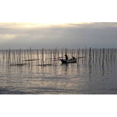 ふるさと納税 横須賀市 走水のり5帖入 |  | 02