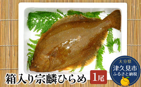 箱入り宗麟ひらめ 1尾 |津久見市 ひらめ