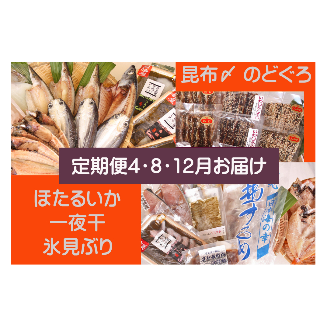 【年3回定期便】氷見の味を食べつくす！＜氷見鰤・昆布〆刺身・蛍いか・のどぐろ入＞  富山県 氷見市 干物 詰め合わせ 魚介類