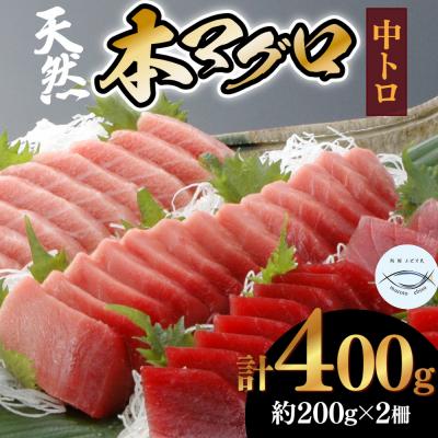 ふるさと納税 室戸市 本マグロ　中トロ　2柵(400g)