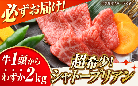 【12回定期便】【特選6点】長崎和牛焼肉[ECS064]国産 長崎和牛 焼肉 牛肉 焼肉 定期便 焼肉セット 定期便 和牛 焼肉 定期便