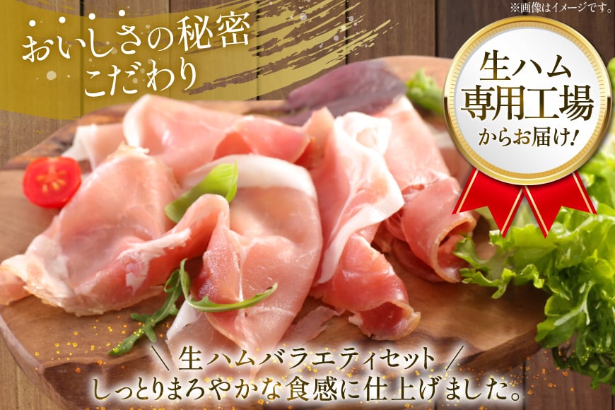 生ハム おいらの生ハム アソート セット 計10p [日本ハムマーケティング 青森県 おいらせ町 oi02ayo820003] 詰め合わせ 肩ロース オリーブオイル ハム 日本ハム 日ハム 小分け サ