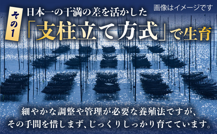 【初摘み海苔】焼のり贅沢10袋セットF 佐賀県/有明の風 [41AACO010]