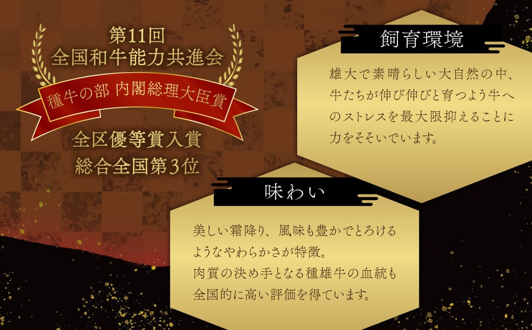 091-729 豊後牛 切り落とし 計800g (200g×4パック) 和牛 牛肉 国産