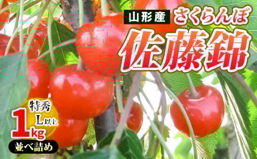 山形産 さくらんぼ佐藤錦 1kg 並べ詰め L以上 【令和7年産先行予約】FS24-728