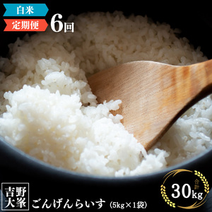 【定期便】吉野大峯ごんげんらいす　5kg×1袋　6ヵ月連続 計30kg 白米《水本米穀店》