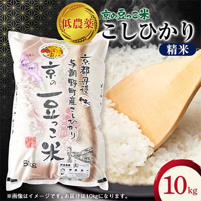ふるさと納税 与謝野町 令和7年産米「京の豆っこ米」低農薬コシヒカリ　精米10kg 農家直送　京都与謝野町【伊達農園】