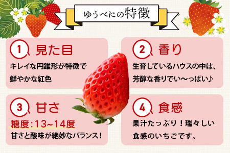 【2026年11月中旬〜順次発送】熊本県産 ゆうべに 約260g×2パック 4月終了 103-0001