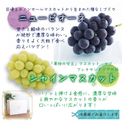 岡山　花笑み農園の『ニューピオーネ＆シャインマスカット』1kg(2房)PS-1【9月中旬～順次発送】【配送不可地域：離島・北海道・沖縄県】