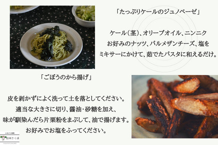 信州北八ヶ岳からお届け～ちいさな畑セット～（Mサイズ　２～３人前）有機野菜〔NK-01〕