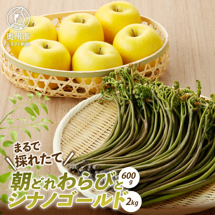 【ふるさと納税】 りんごと朝どれ生蕨 セット シナノゴールド 2kg(6〜7個) わらび 200g×3束 レシピ付き アク抜き用木灰付き 母の日 父の日 離島配送不可 [BK010]